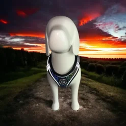 Ollipet High Tech Refleks Step-in Hundesele