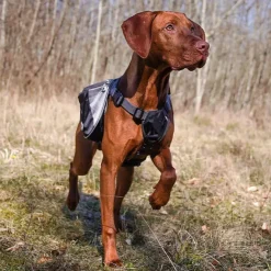 Ollipet Hiking Gear Backpack