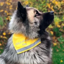 Ollipet Hold afstand tak | Bandana