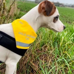 Ollipet Hold afstand tak | Bandana