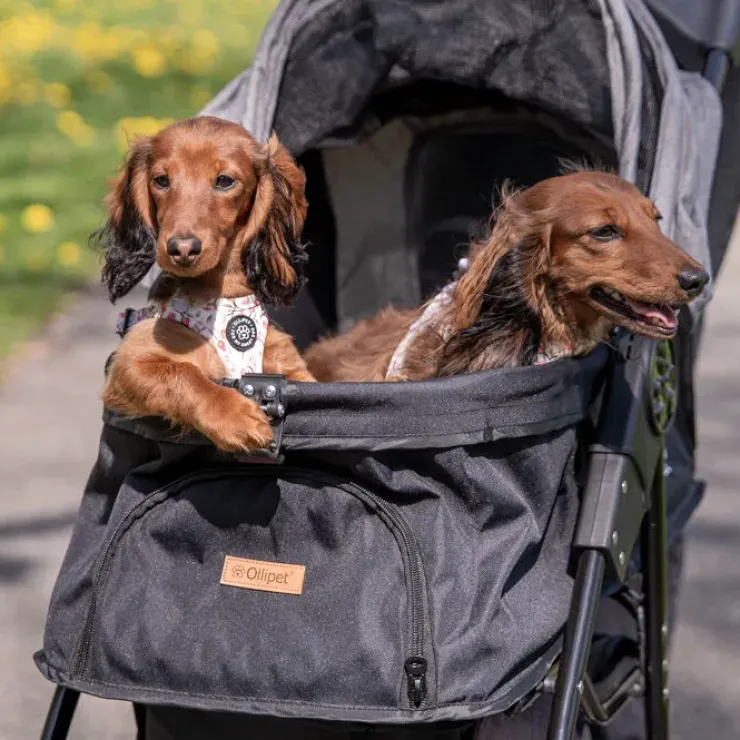 Ollipet Hundeklapvogn Milano | Hundejogger