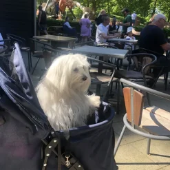 Ollipet Hundeklapvogn Venezia