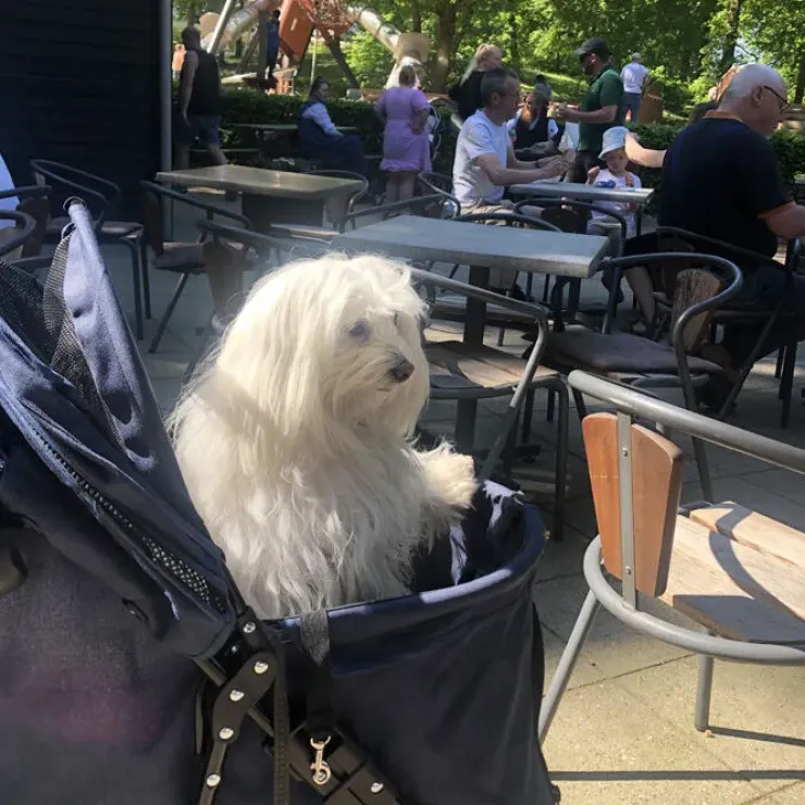 Ollipet Hundeklapvogn Venezia