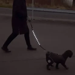 Ollipet hundesnor med LED-lys | Genopladelig | OUTLET