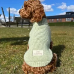 Ollipet Hundesweater | I Am Pawsome