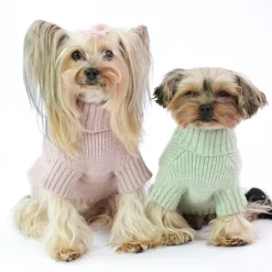 Ollipet Hundesweater | I Am Pawsome