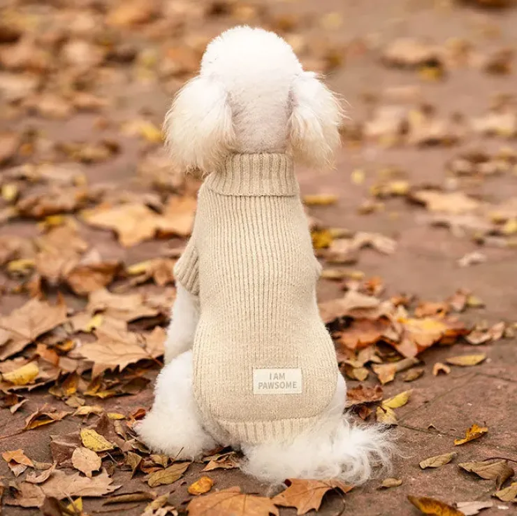 Ollipet Hundesweater | I Am Pawsome