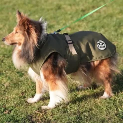 Ollipet Hunting Outdoor Vinterdækken