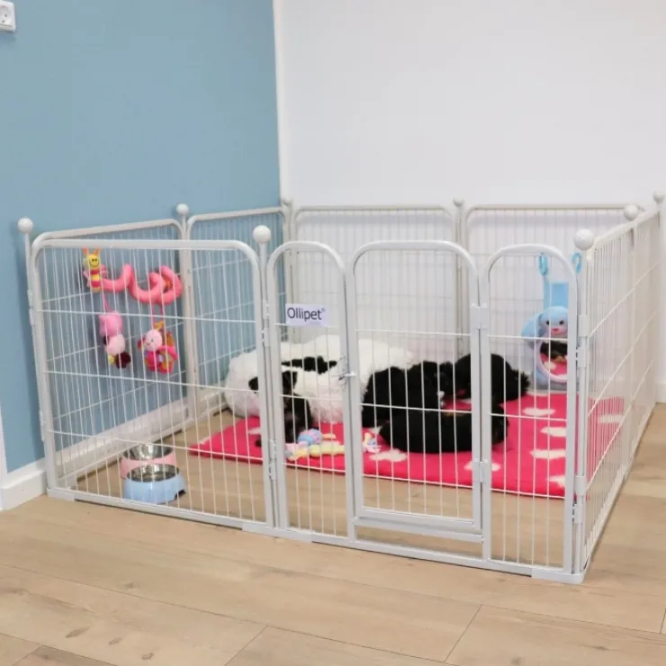Ollipet hvalpegård m. stokke og gulvbeskytter | 100cm. Høj