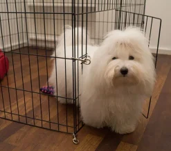 Ollipet Hvalpegård Slimline