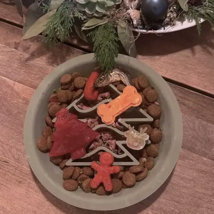 Ollipet Juleslikkeskåle