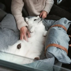 Ollipet Karma Deluxe Autokurv 2i1