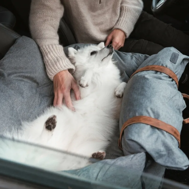 Ollipet Karma Deluxe Autokurv 2i1