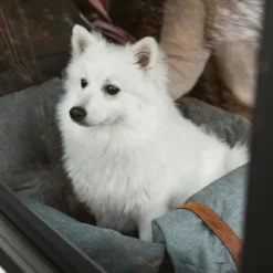 Ollipet Karma Deluxe Autokurv 2i1