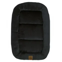 Ollipet Kaya Wellness Madras