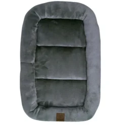 Ollipet Kaya Wellness Madras
