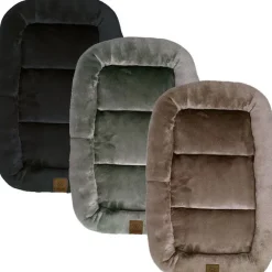 Ollipet Kaya Wellness Madras