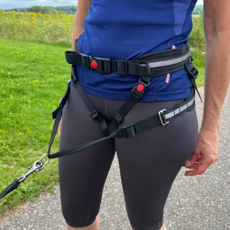 Ollipet Løbebælte Canicross X