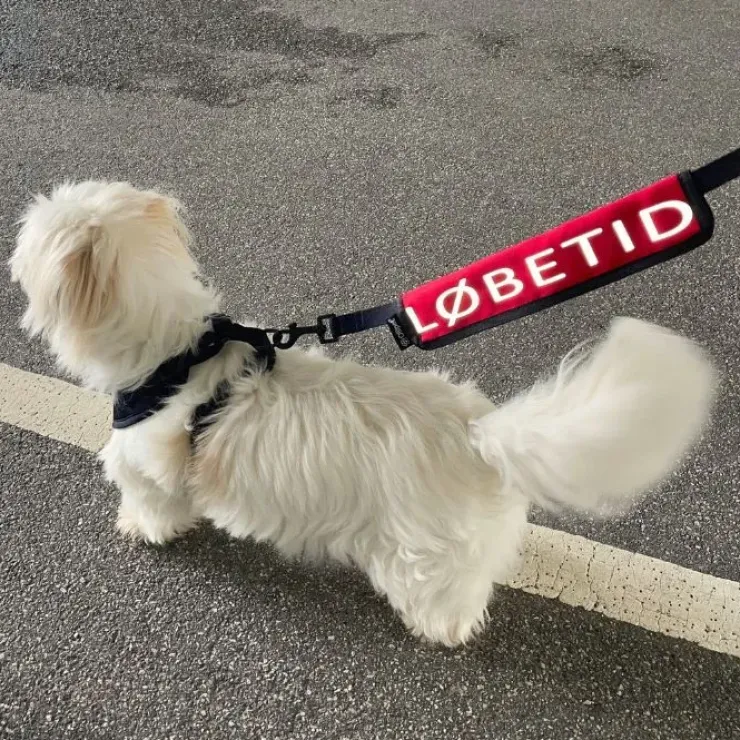 Ollipet Løbetid Mærkat