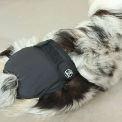 Ollipet Løbetidsbukser