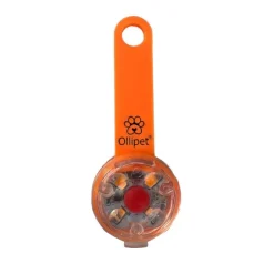 Ollipet LED Light in the dark | Genopladelig