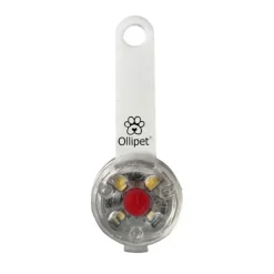 Ollipet LED Light in the dark | Genopladelig