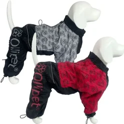 Ollipet lluvia Raincoat | OUTLET