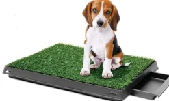 Ollipet luksus hundetoilet med bakke