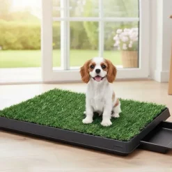 Ollipet luksus hundetoilet med bakke