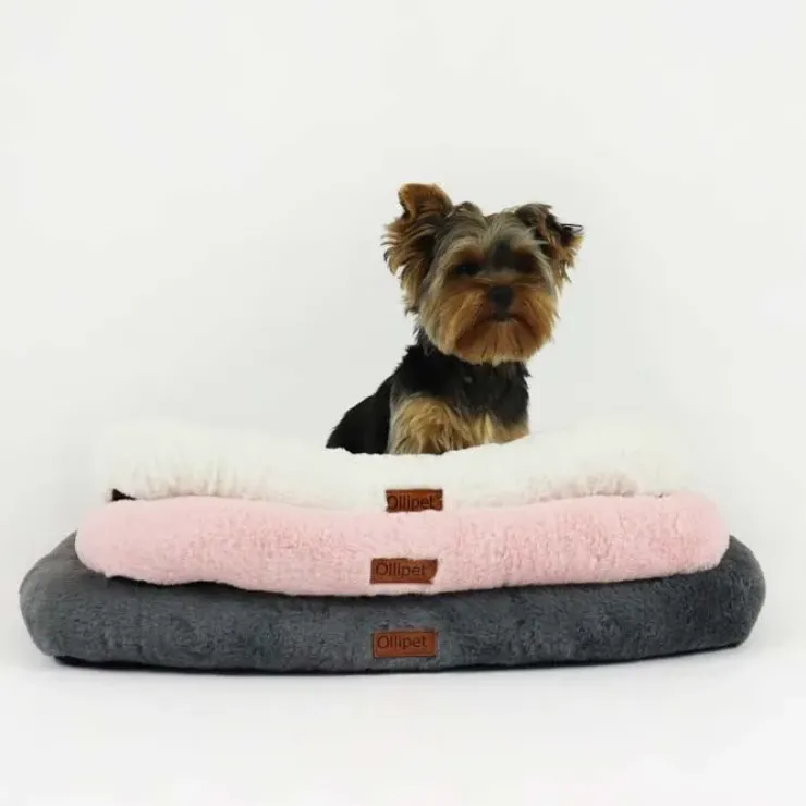 Ollipet Luksus Madras