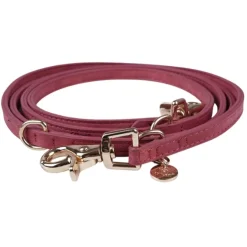 Ollipet Luxor Hundesnor