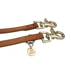 Ollipet Luxor Hundesnor
