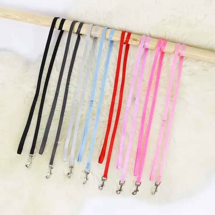 Ollipet Macaron Hundesnor