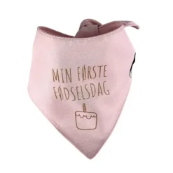 Ollipet Min første fødselsdag | Bandana