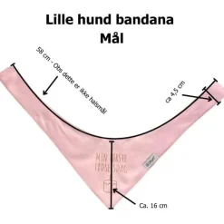 Ollipet Min første fødselsdag | Bandana