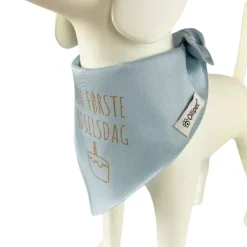 Ollipet Min første fødselsdag | Bandana