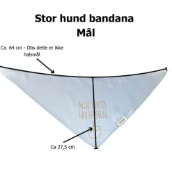 Ollipet Min første fødselsdag | Bandana
