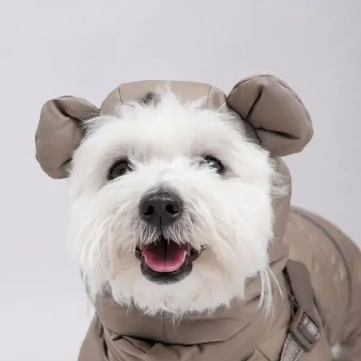 Ollipet Mini Grizzly Bear Flyverdragt
