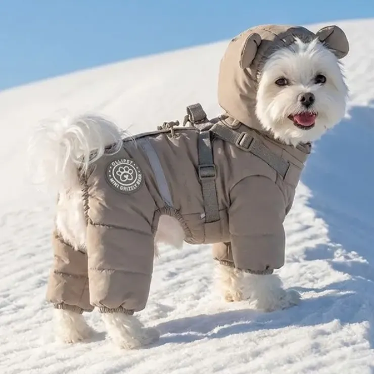 Ollipet Mini Grizzly Bear Flyverdragt