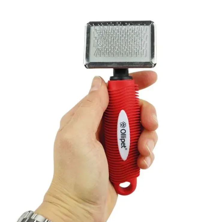 Ollipet Mini Karte m. eller u. dupper