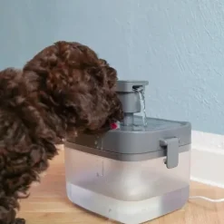 Ollipet Mini Pet Water Fountain