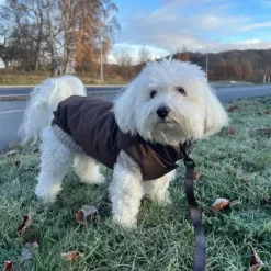 Ollipet Mokkashield | Termojakke