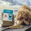 Ollipet Munchy Sticks | 100 stk.