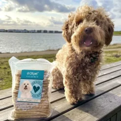 Ollipet Munchy Sticks | 100 stk.