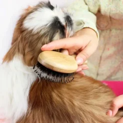 Ollipet Natural Mini Bambusbørste | Mix Brush