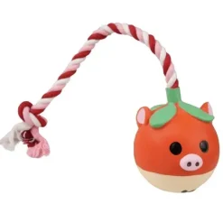 Ollipet NaturLatex Piggle Pop | m. Reb