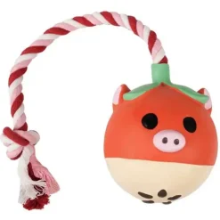 Ollipet NaturLatex Piggle Pop | m. Reb