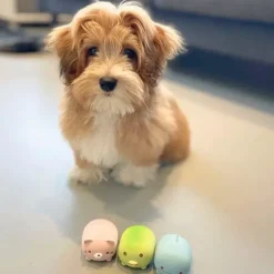 Ollipet NaturLatex Small Cute Animals