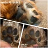 Ollipet Naturlig Potevoks | 60g