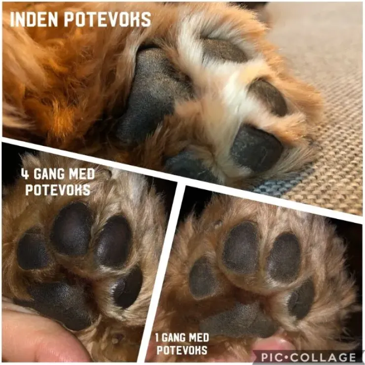 Ollipet Naturlig Potevoks | 60g